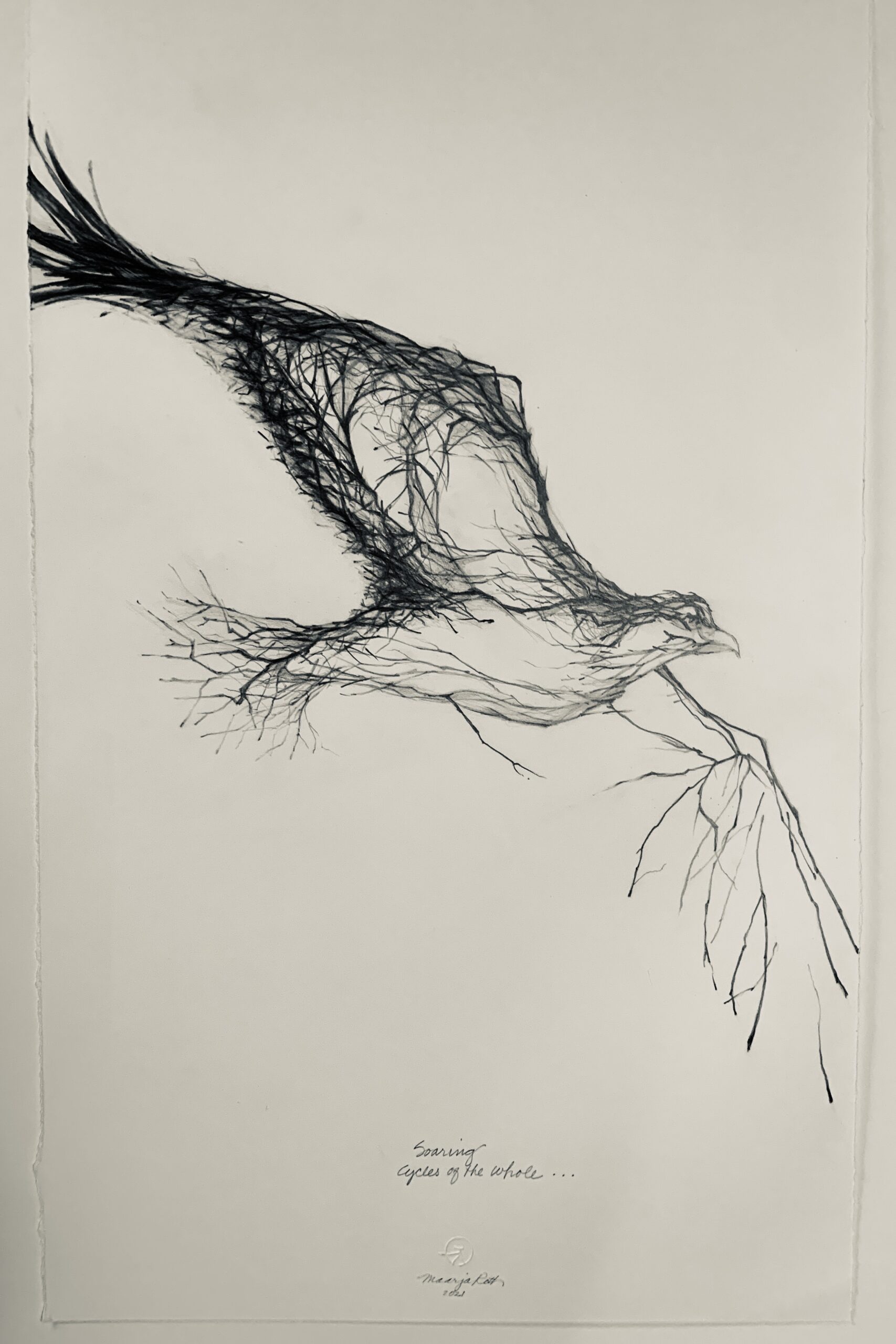 "Soaring Stretched bare", 30" x 13", pencil drawing