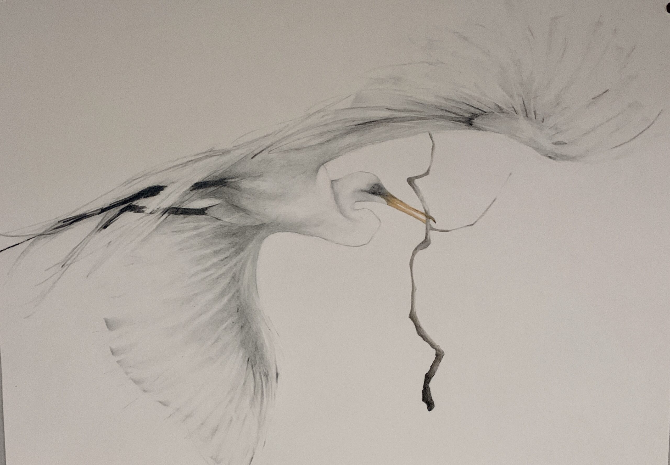 "Flight", 21" x 30", pencil drawing