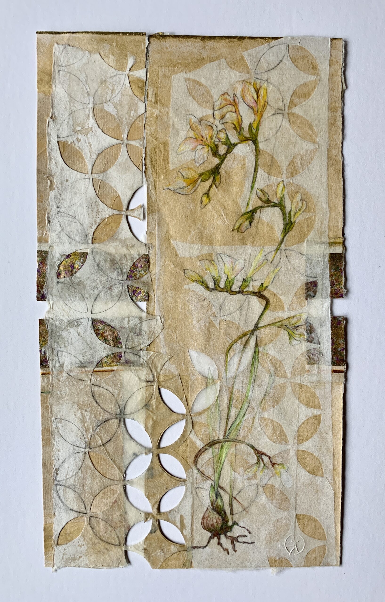 "Freesia", 15 3/4" x 9", collage drawing